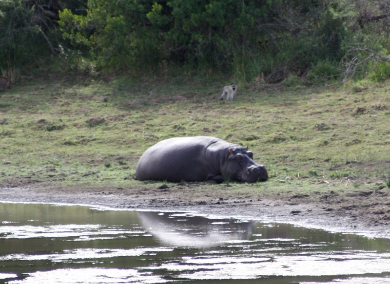 Eastern Cape photo 64