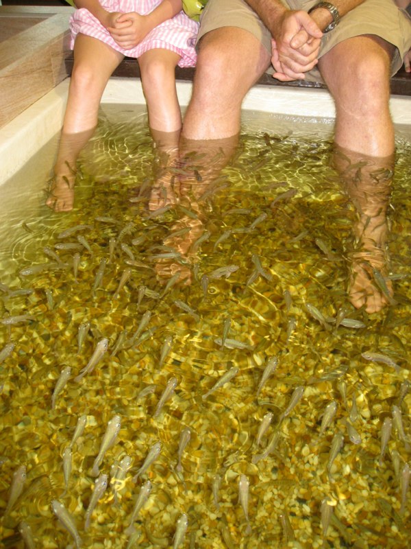 fish massage