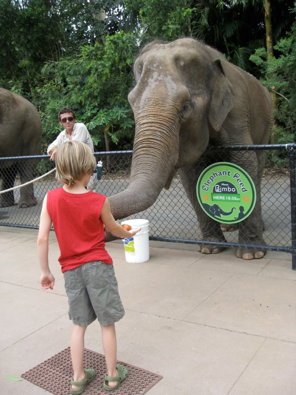 Oskar feeding the animals
