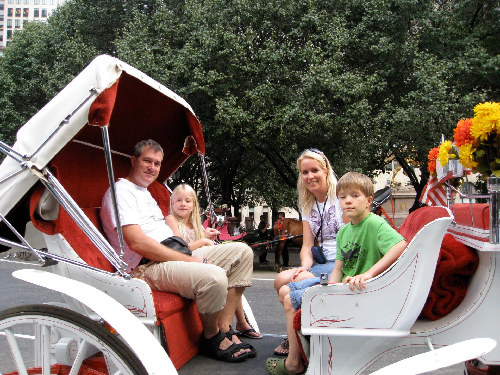 No NYC trip without a horse carriage ride