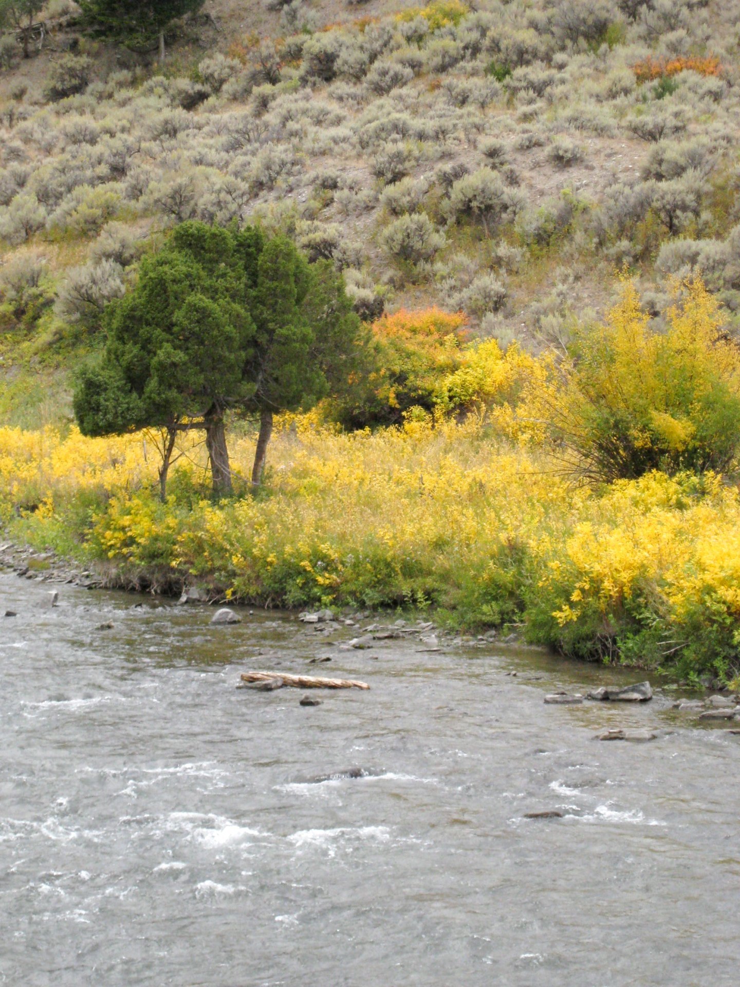 Montana photo 9