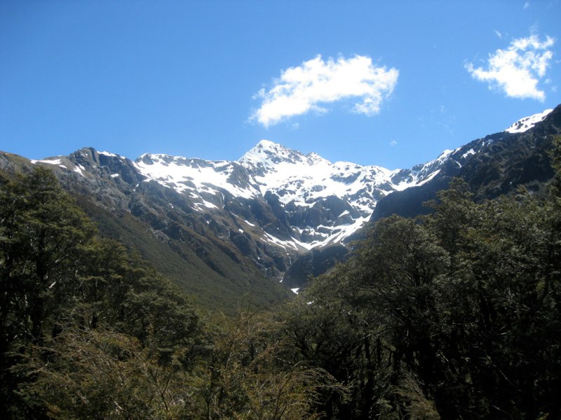 NZ Glacier Album photo 13