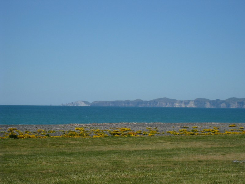 Napier view