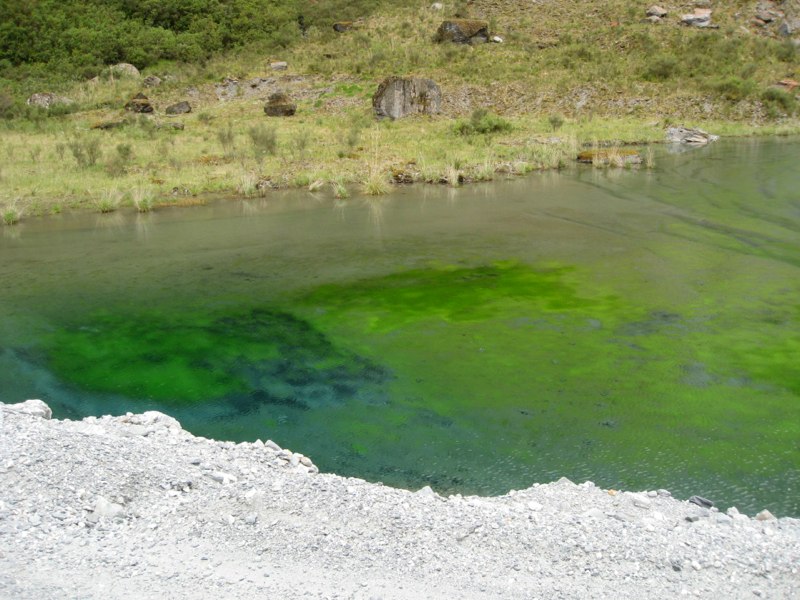 NZ Glacier Album photo 42