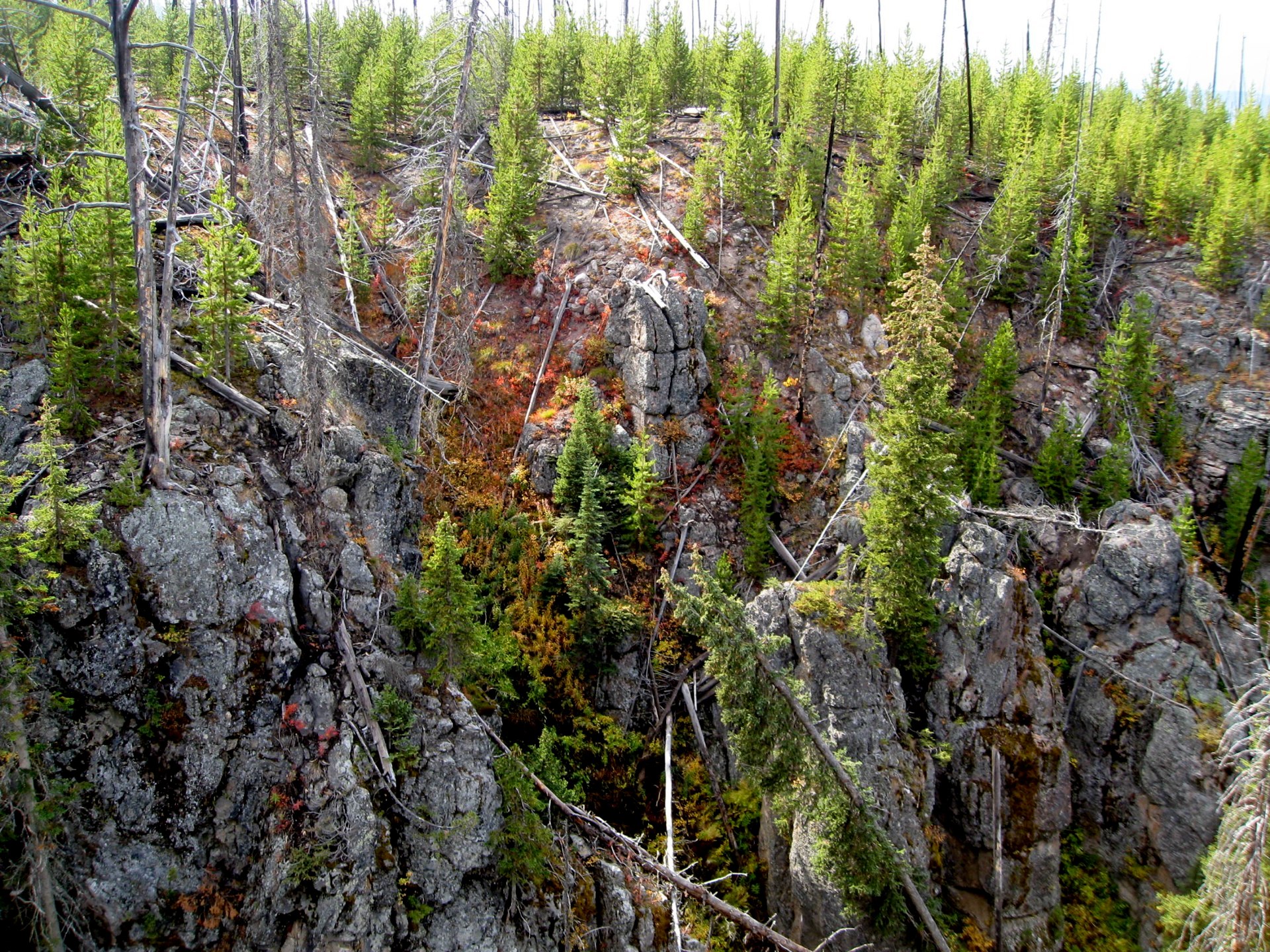 Montana photo 60